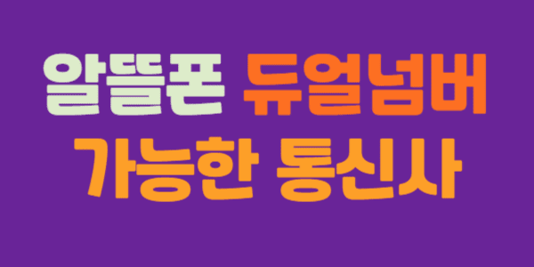 알뜰폰 듀얼넘버